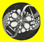 CIRCULARIUMS